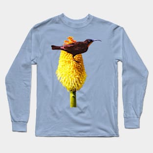 Amethyst Sunbird on Flowering Red Hot Poker Long Sleeve T-Shirt